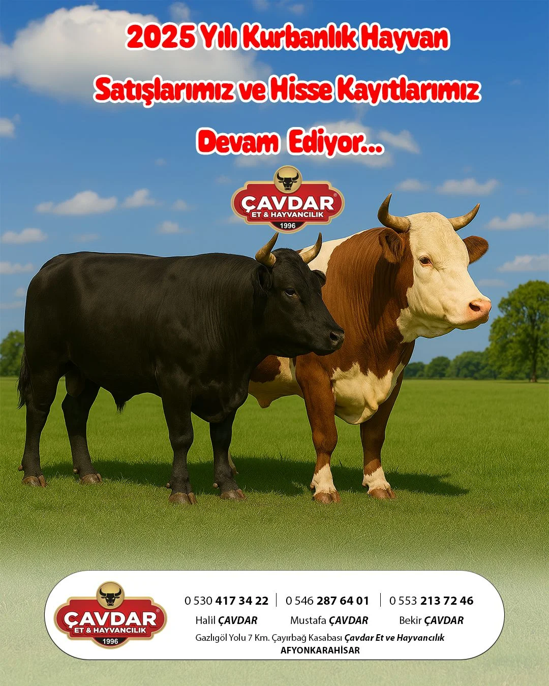 Afyon Kurbanlık | Akika Kurbanı | Şükür Kurbanı | Afyon Adaklık Kurban